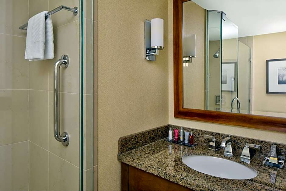 Wyndham Atlanta Buckhead Hotel & Conference Center