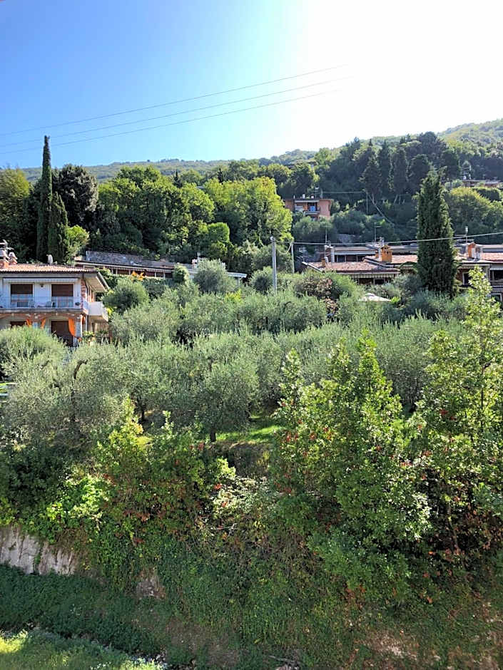Hotel Zanetti