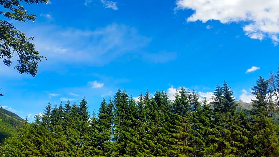 Bhome Gästehaus b&b / Apartments