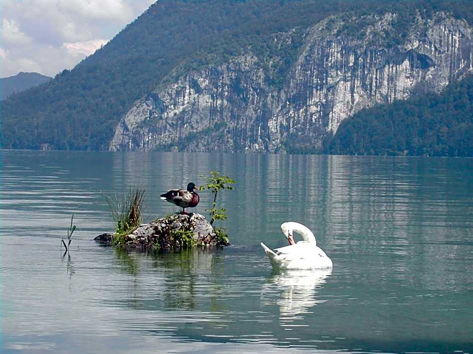Landhaus Leitner am Wolfgangsee