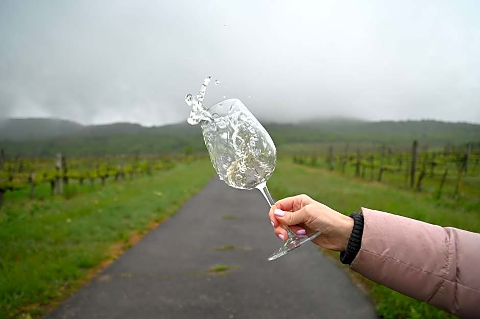 Barka Galéria Hotel és Étterem