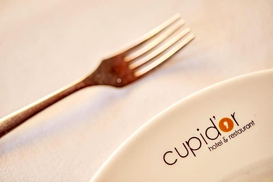 Hotel Cupidor