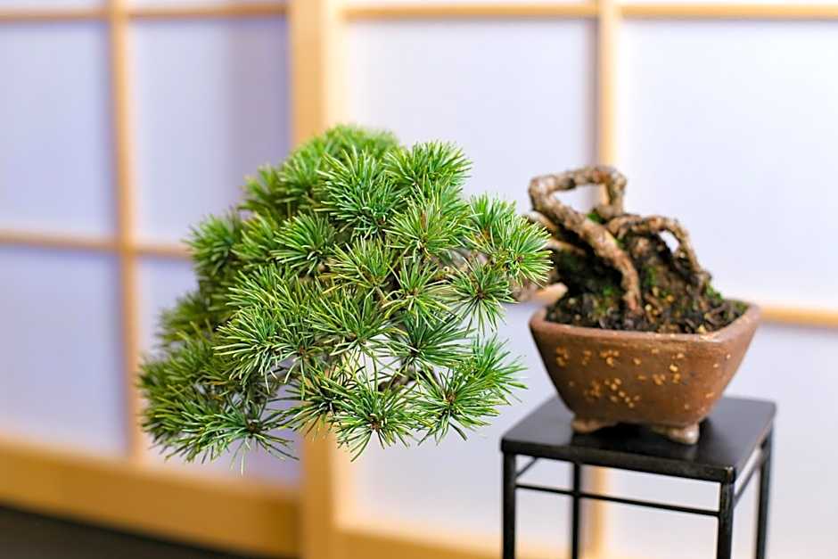 Kyonoyado Gekkoan
