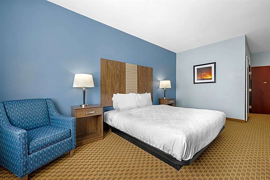 Best Western South Plains Inn & Suites