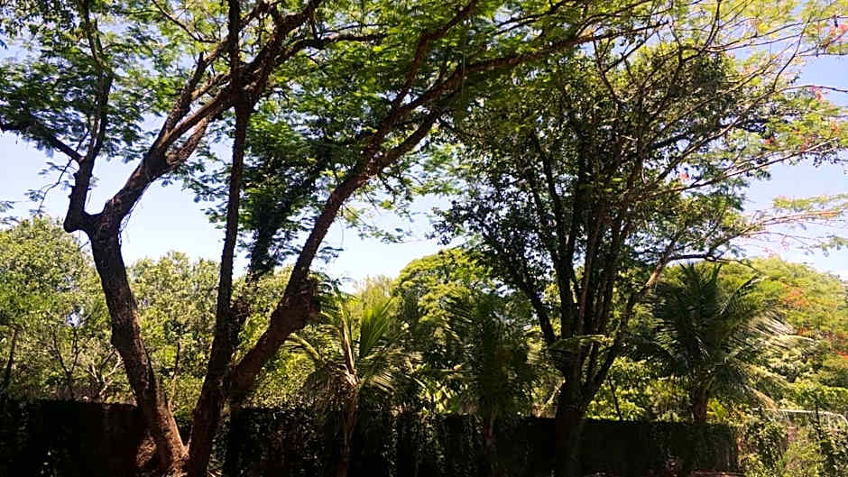 Pousada Falls Park