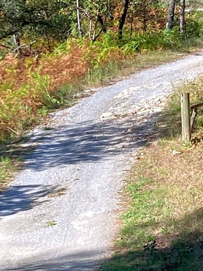 Idyllic French farmhouse