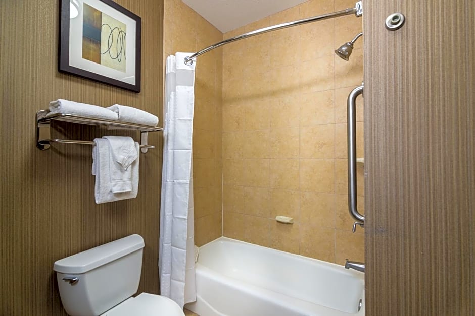 Holiday Inn Arlington Northeast By IHG