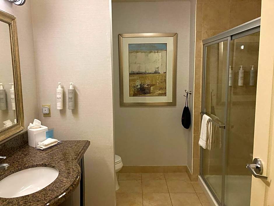 Hampton Inn By Hilton & Suites Carlsbad