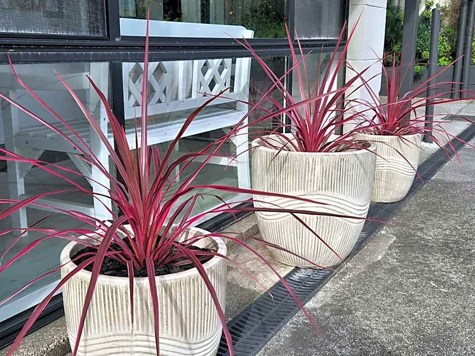 Apollo Bay Waterfront Motor Inn