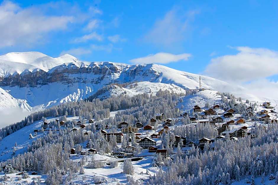 Adonis Le Chastellan