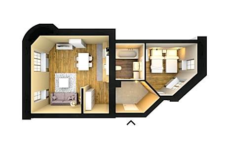 Large One-Bedroom Apartment with Bath