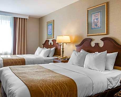 Suite Queen bed