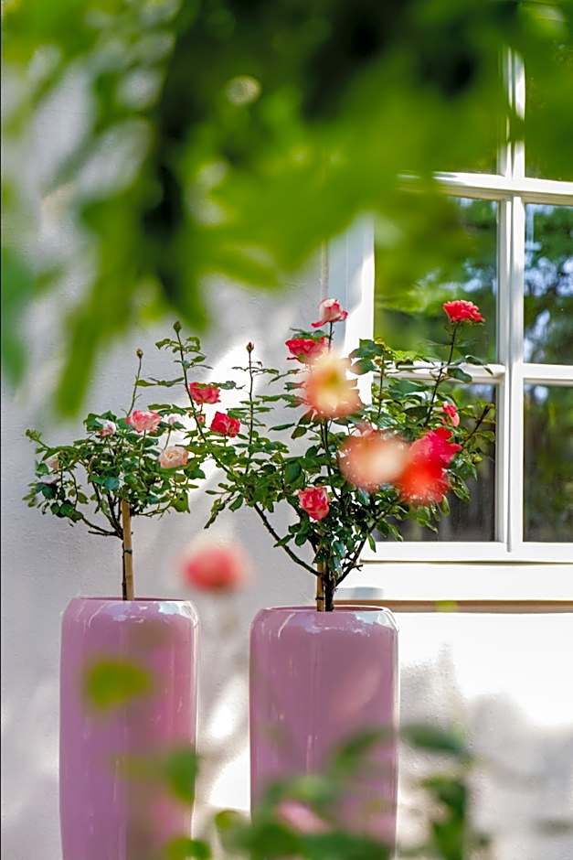 Schlosshotel Wilhelmsthal
