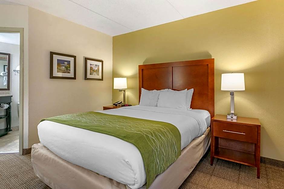 Comfort Inn Downtown Lookout Mountain Chattanooga