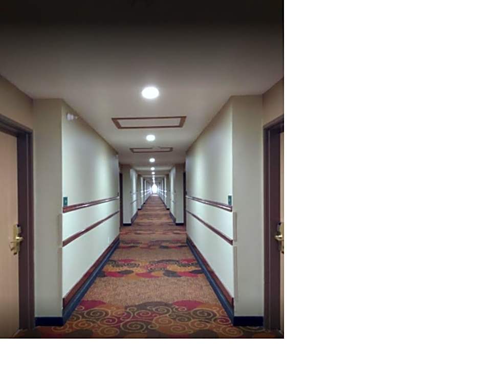 Comfort Inn & Suites Morton - Peoria