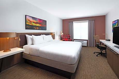 1 King Bed