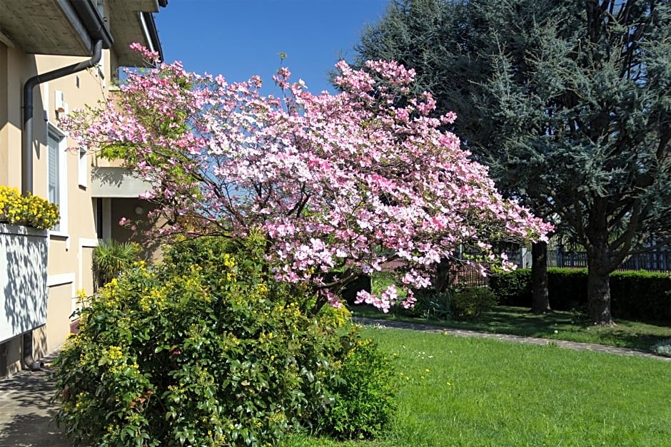 Il Giardino