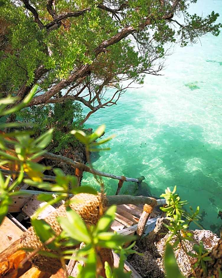 The Island - Pongwe Lodge