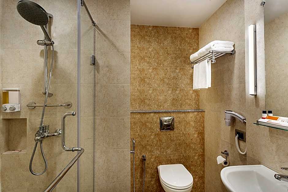 Ginger Bhubaneshwar
