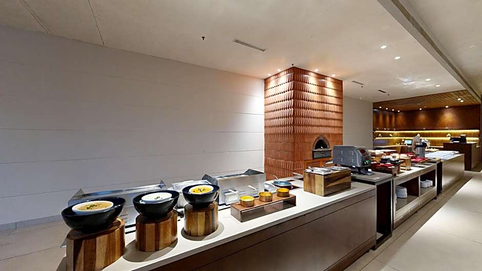 Park Plaza Chandigarh Zirakpur