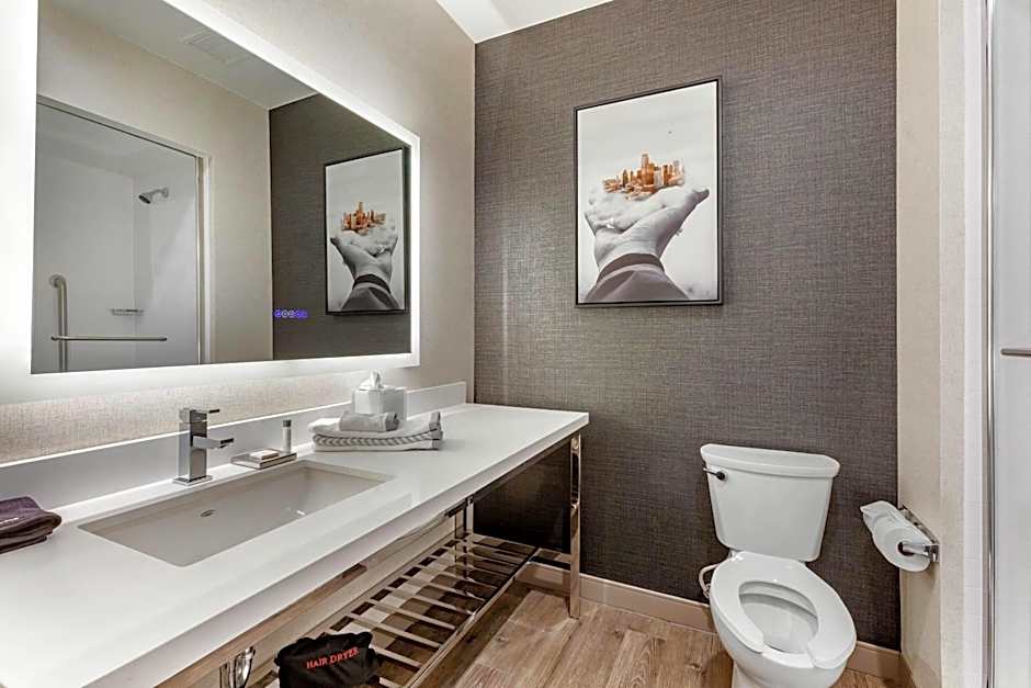 Cambria Hotel Richardson - Dallas