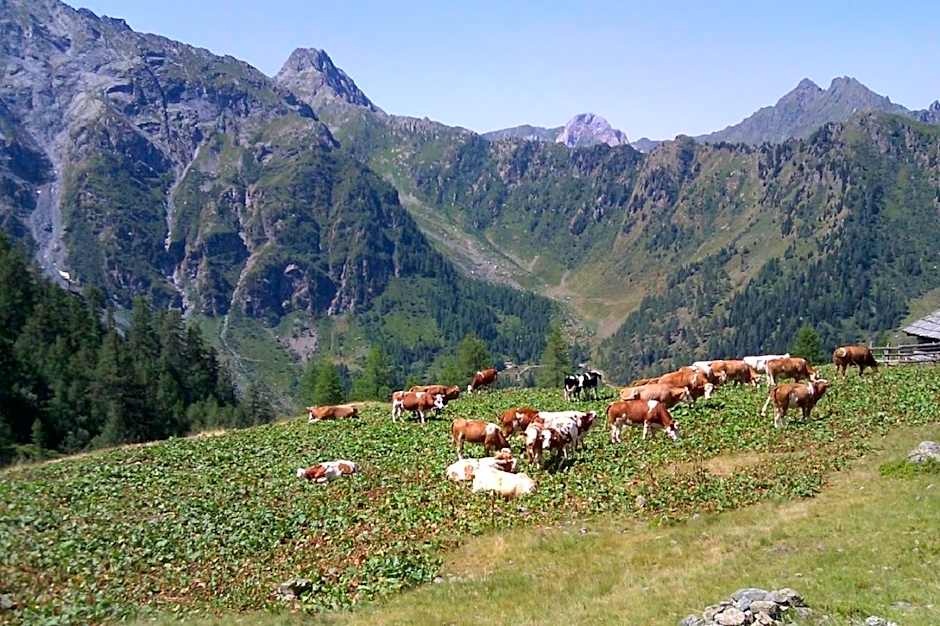 Apartmentshaus Dual - 2