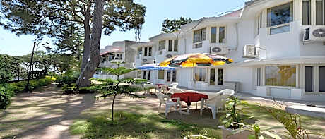 Mountain Quail Morni 