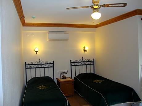 Deluxe Double or Twin Room with City View