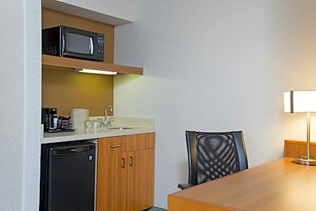 Studio, 1 King Bed with Sofa bed (1 King Bed and 1 Double Sofa Bed)