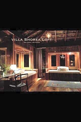 The Shorea