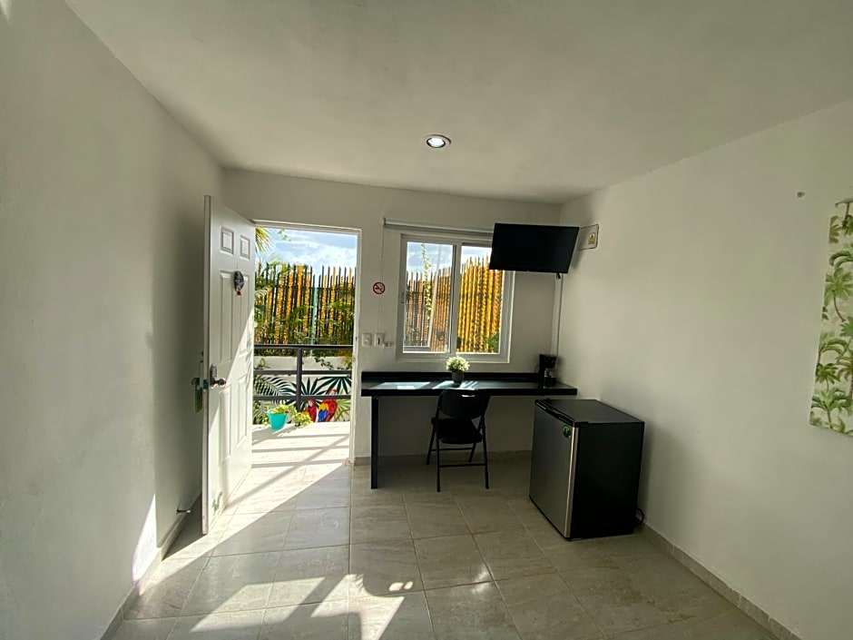 LUX Studio ROOM LAS PALMAS PUERTO MORELOS