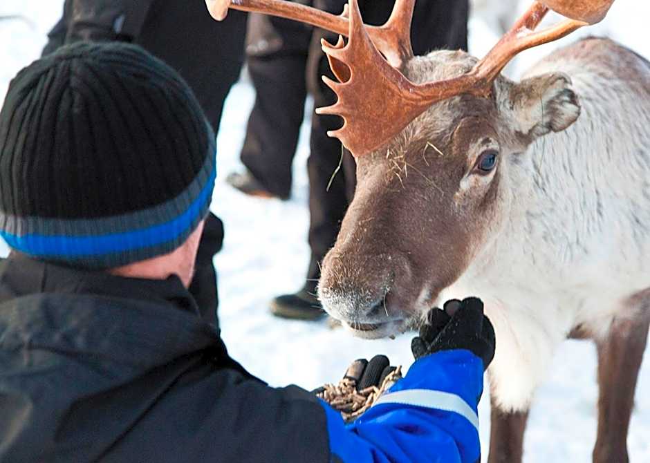 Northern Lights Village
