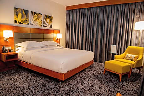 One-Bedroom King Suite