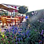 Hajé Hotel Restaurant de Lepelaar