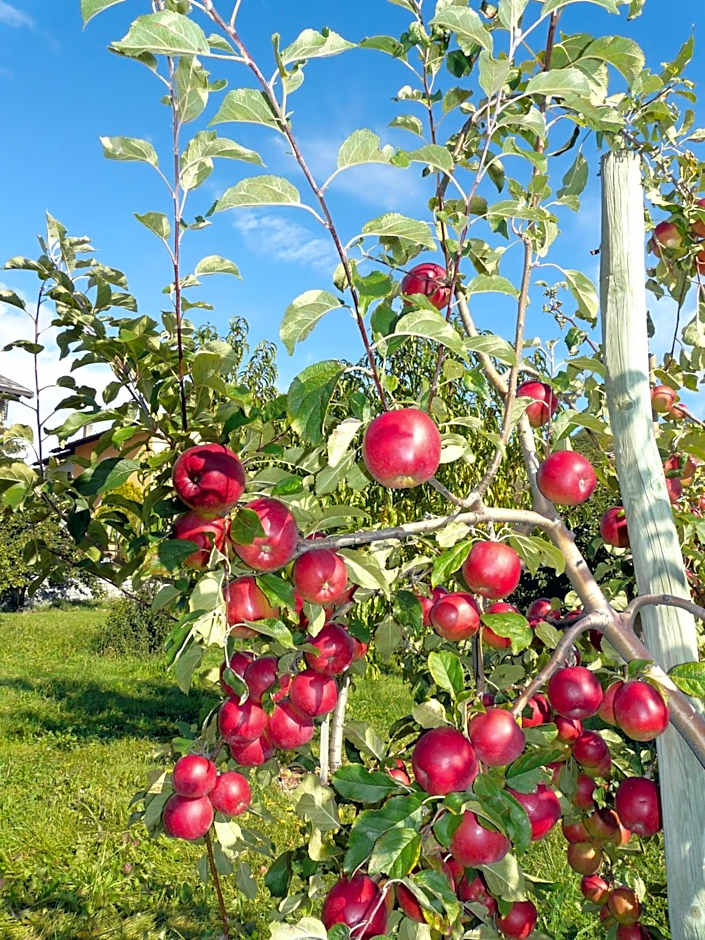 Affittacamere Verger Plein Soleil