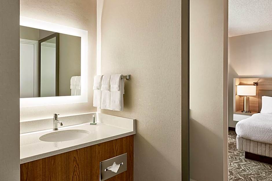 SpringHill Suites by Marriott Phoenix Tempe/Airport