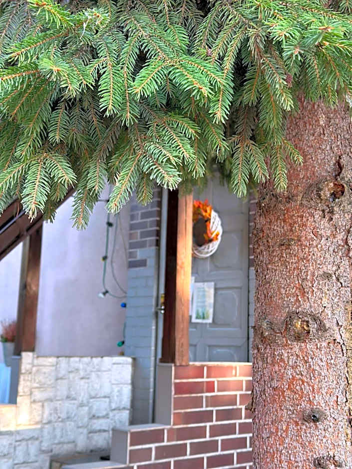 Szumi Las Bed & Breakfast