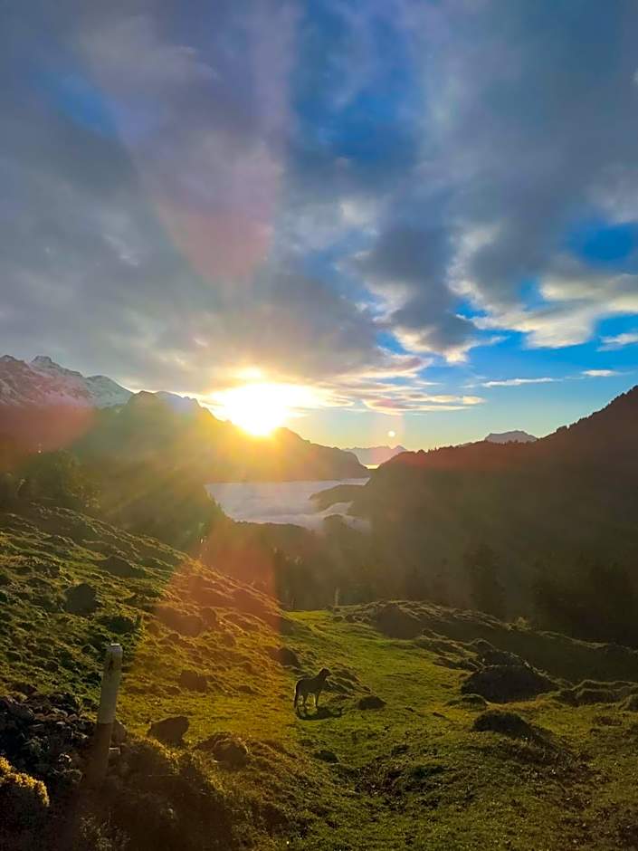 Kunst- und Naturfreundehaus Brünig