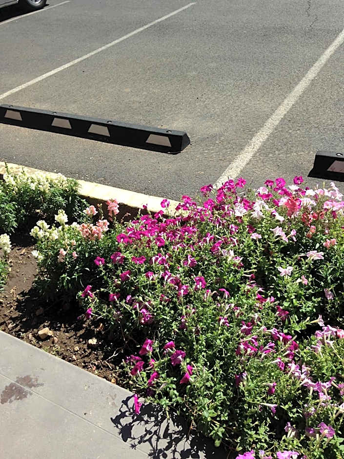 Rugged Country Lodge