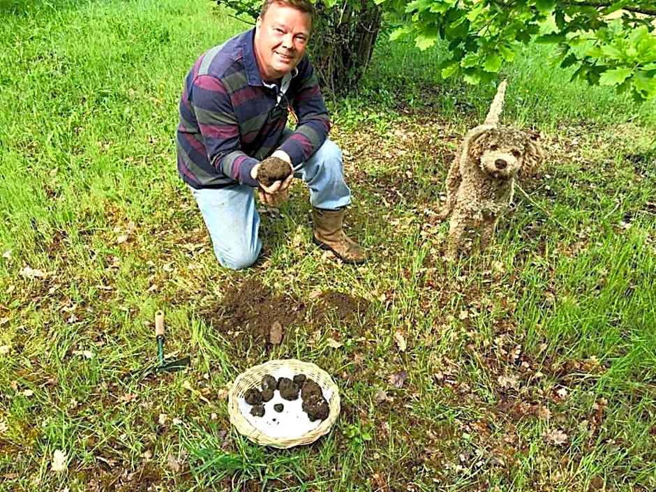 Les Cèdres du Linard, Chambres d'Hôtes B&B Near Lascaux, Montignac, Sarlat-la-Canéda, Dordogne
