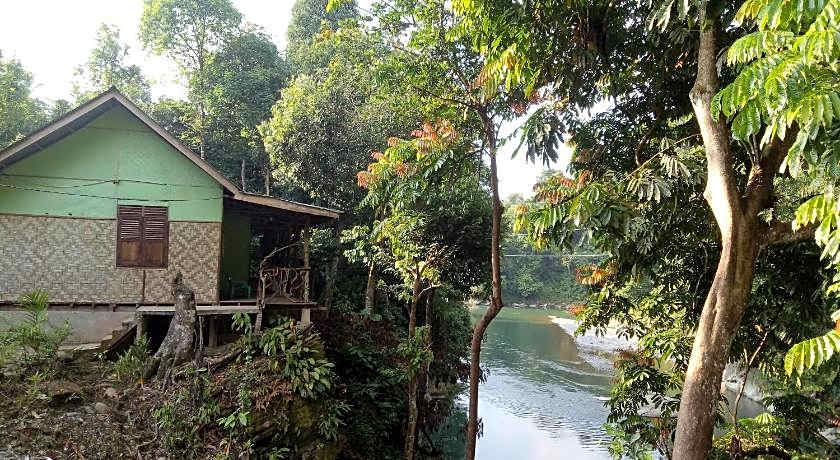 Green lodge tangkahan 