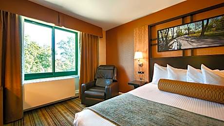 1 King Room Non-Smoking