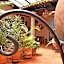 Hotel San Luis