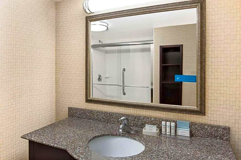 Hampton Inn By Hilton And Suites Savannah-Airport