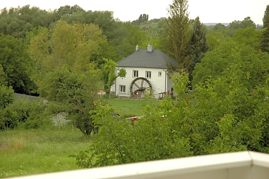 BELYSIUM Bed & Breakfast Panzió