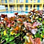 Searenity, Waterside studio in the heart of Treasure Island, walk to beach