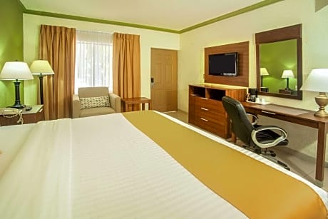 1 King Bed, Suite, Nonsmoking