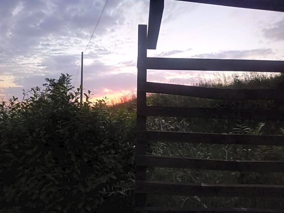 La Tana dello Scoiattolo - Adults Only