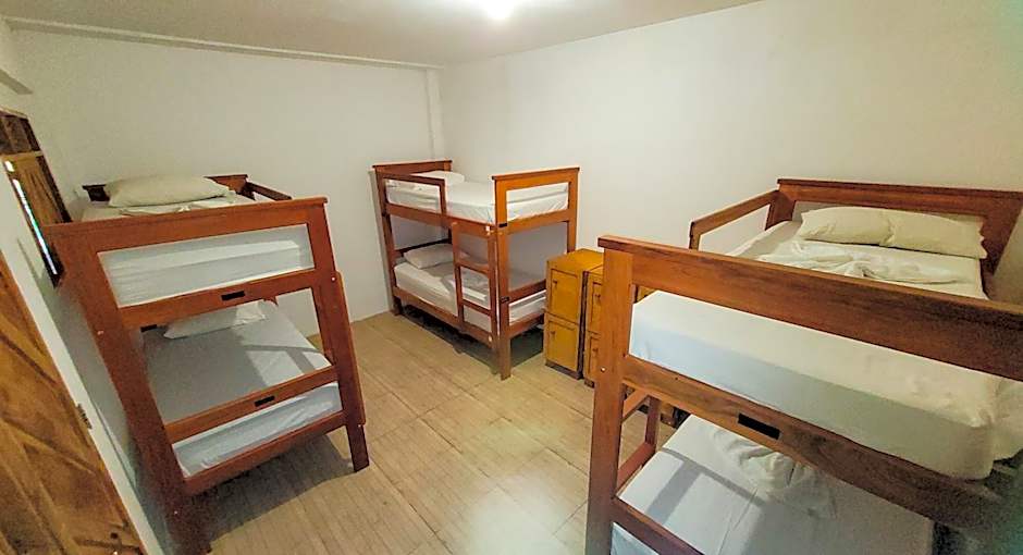 Bunk Bed in Female Dormitory Room — 4 fotoğraftan 1. fotoğraf