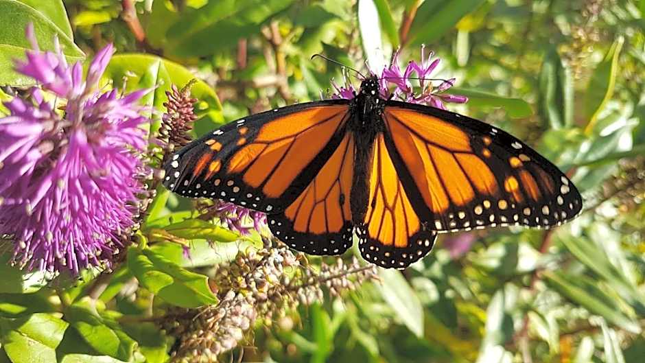 The Jolly Poacher Retreat